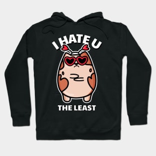 I Hate U the Least Cat Funny Valentines Day Anti Valentines Day Hoodie